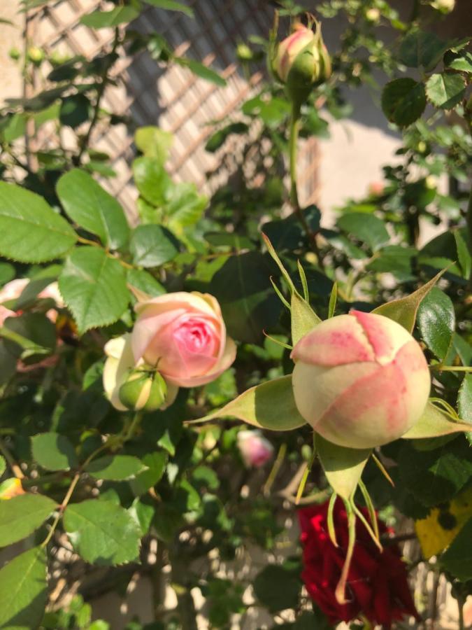 Le Chai De La Rose Spa Et Seances Bien Etre Дуэ-ла-Фонтен Экстерьер фото