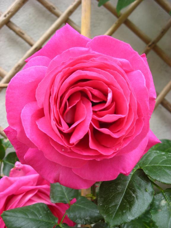 Le Chai De La Rose Spa Et Seances Bien Etre Дуэ-ла-Фонтен Экстерьер фото